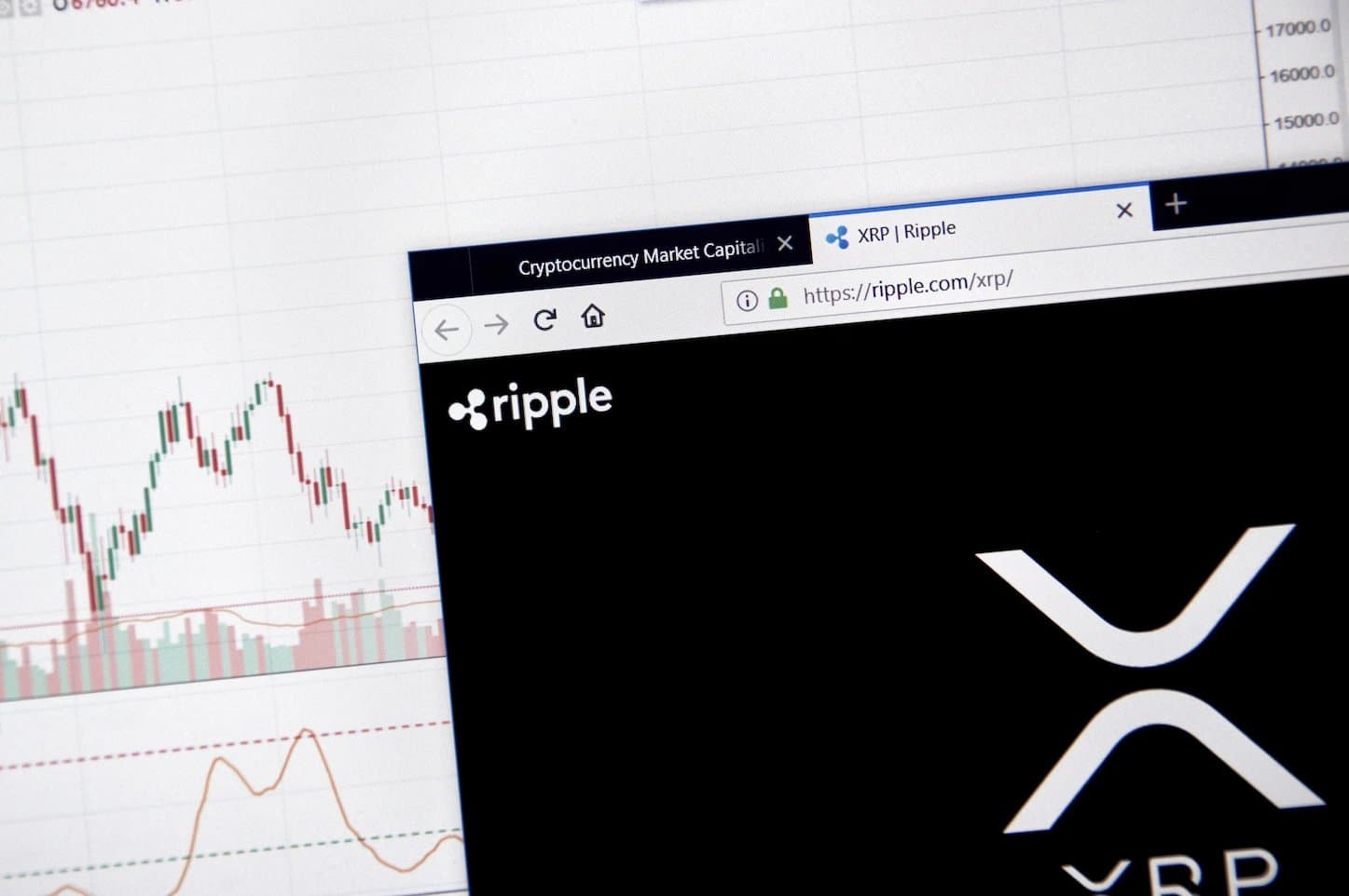 What the XRPL Activity Decline Means Amid XRP’s Price Stability