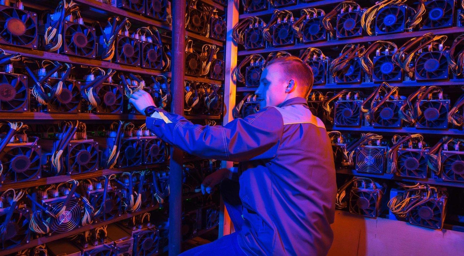 How TeraWulf's Shift to AI Hosting Transforms the Crypto Landscape