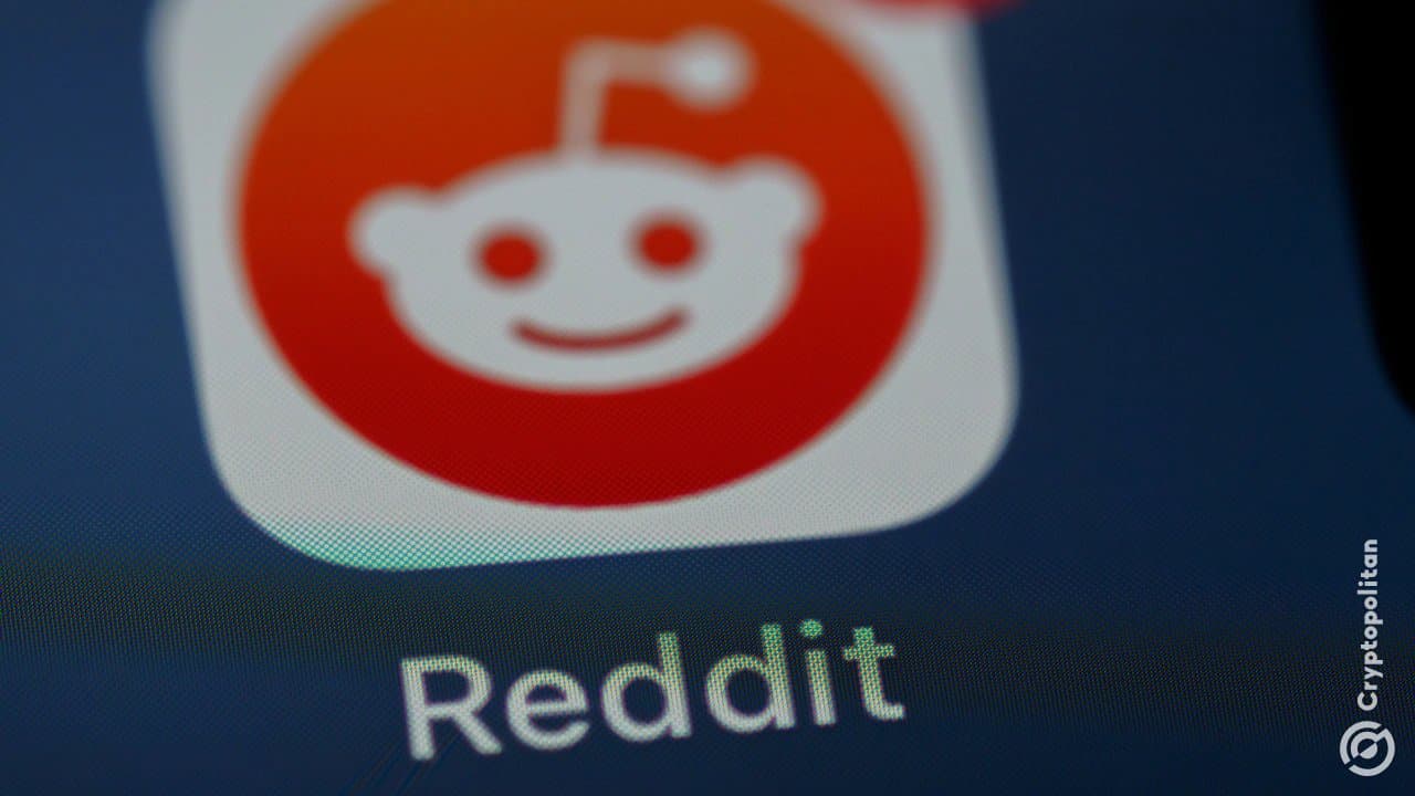 Reddit’s Profit Surges to $253M Amid Rising Ad Revenue and Search Traffic Worries