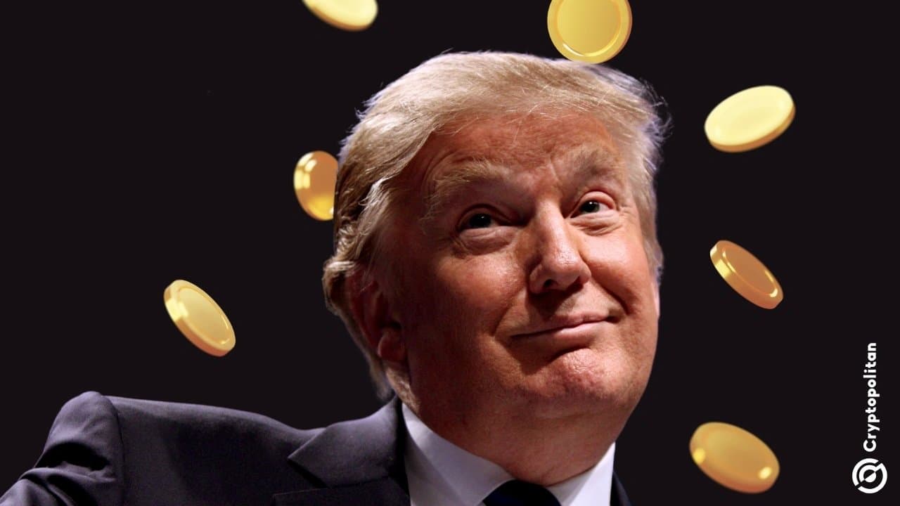 What Trump's Stock Promotions Mean for Market Integrity?