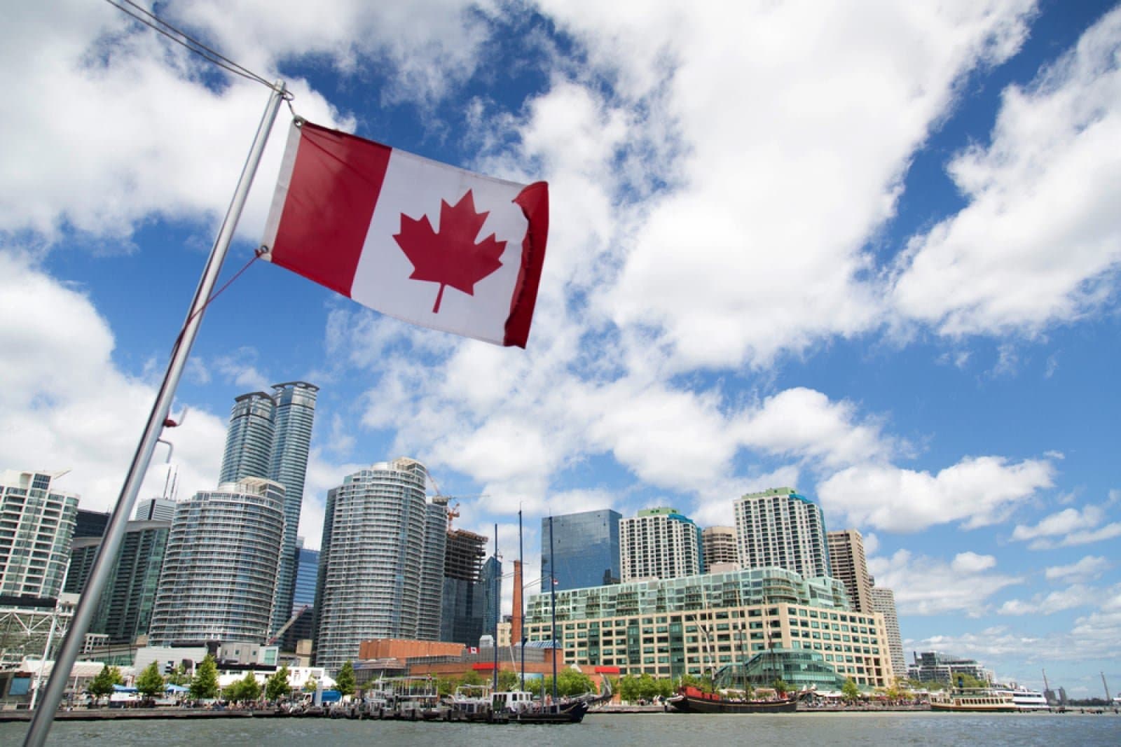 One in Four Canadians Now Own Cryptocurrency, Adoption Surges