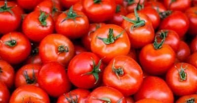 How Tomato Price Surges Signal Broader Grocery Inflation Challenges in Canada