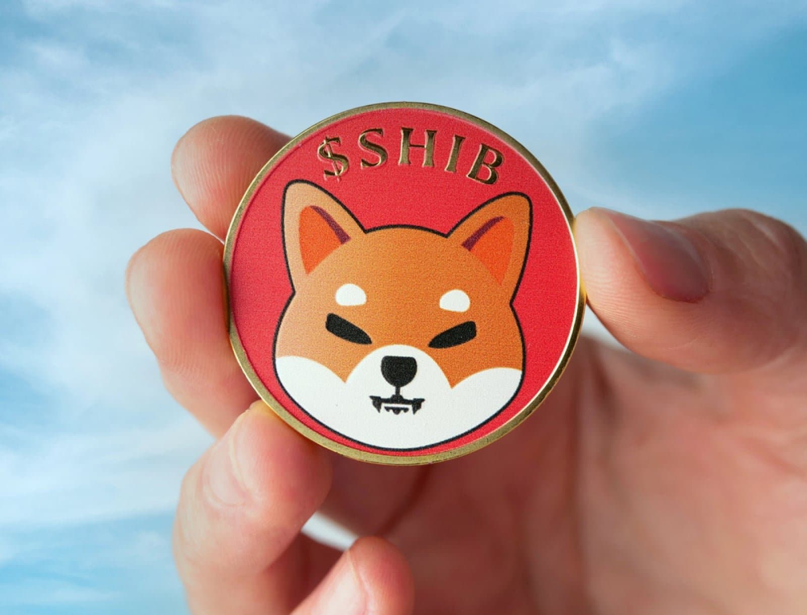 Is Shiba Inu's Token Exodus a Sign of Turning Tides?