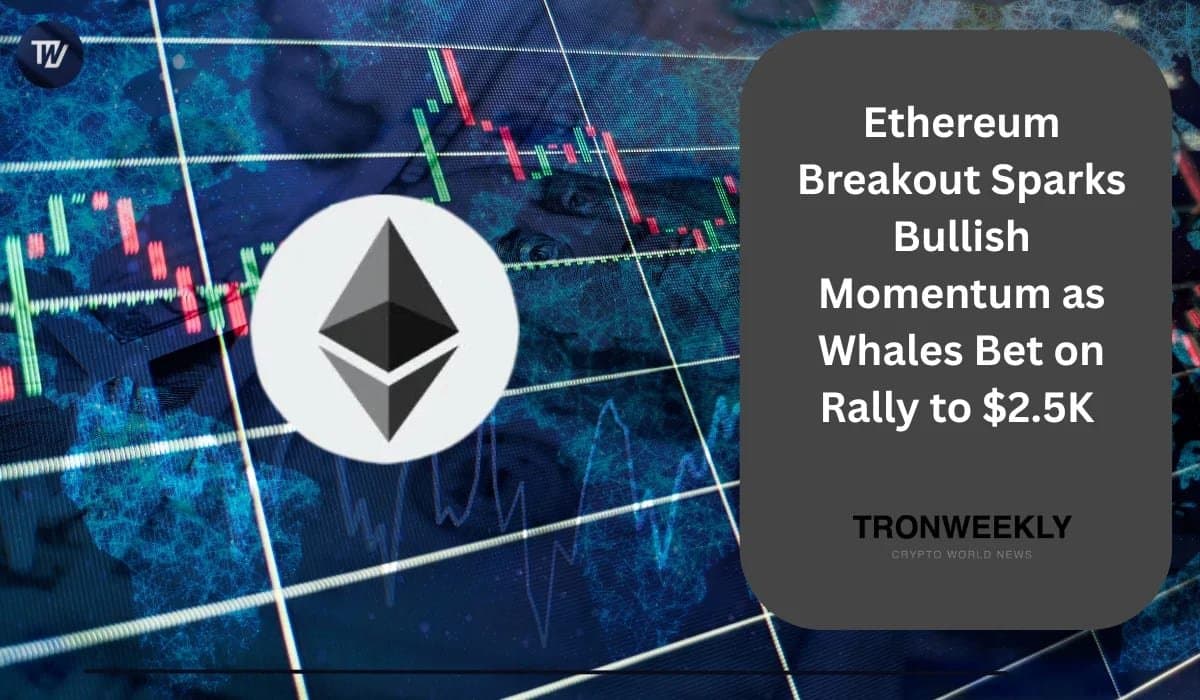 What Ethereum’s Breakout and Whale Bets Signal for Its Next Surge