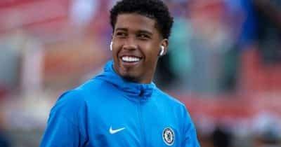 What the Transfer Market's Trends Reveal About Speculative Behavior