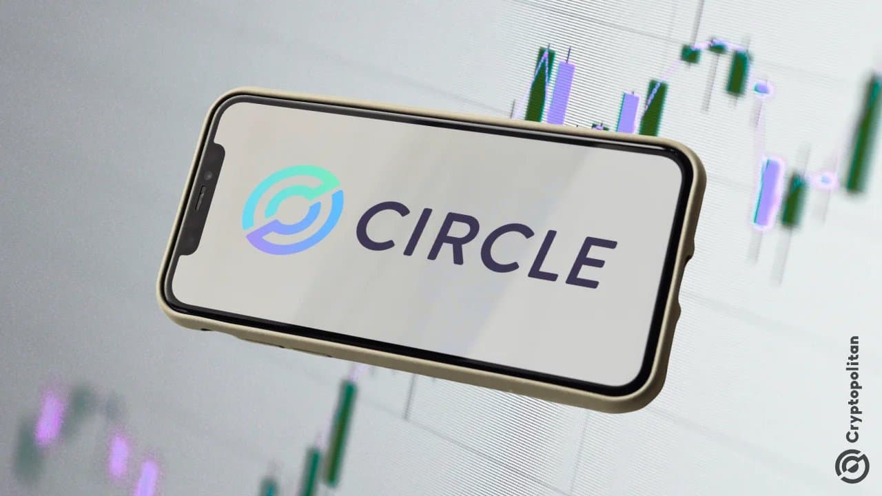 Circle stock stumbles despite profit beat, as stablecoin reserves struggle with lower rates