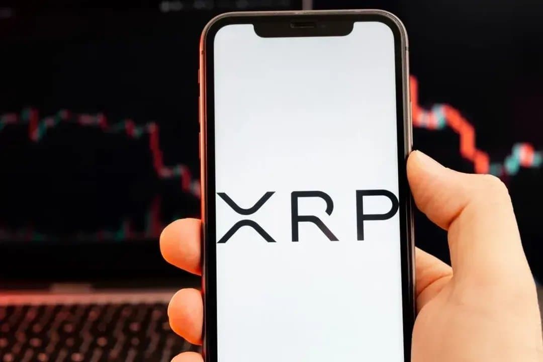 Google Search Now Ranks XRP as the World's Bridge Currency